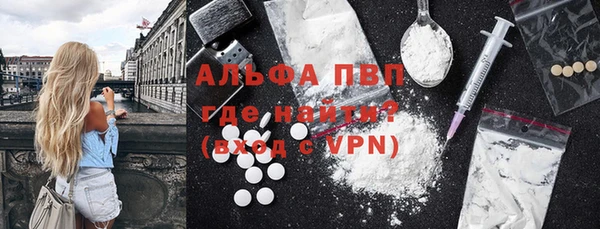 стаф Курчалой